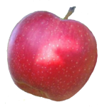 obuoliai-alva-1Z-595×557